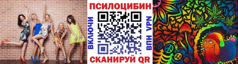 Купить  Шарыпово  Галлюциногенные грибы Psilocybine cubensis 